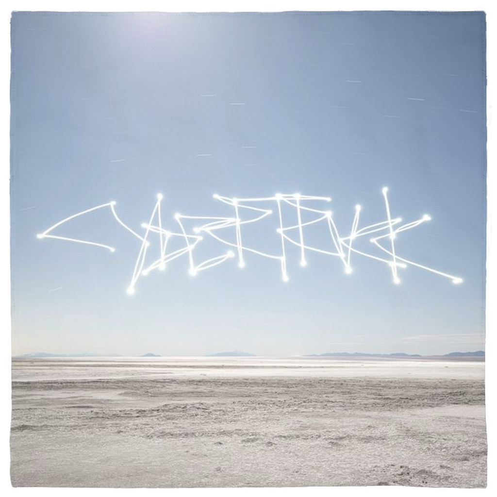 Uninhabited Salt Flats - Pet Bandanas