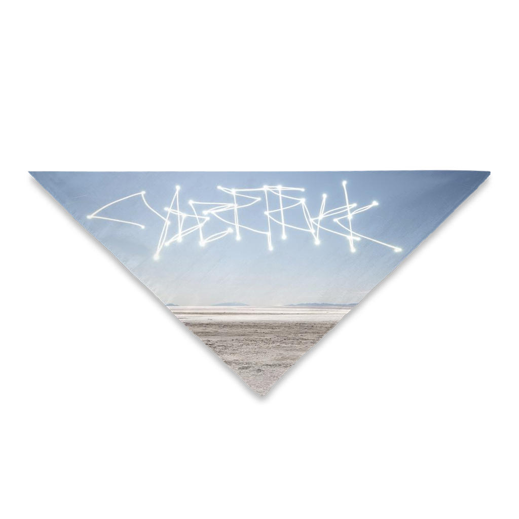 Uninhabited Salt Flats - Pet Bandanas