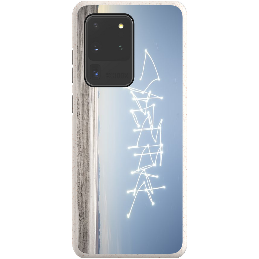 Uninhabited Salt Flats - Phone Cases