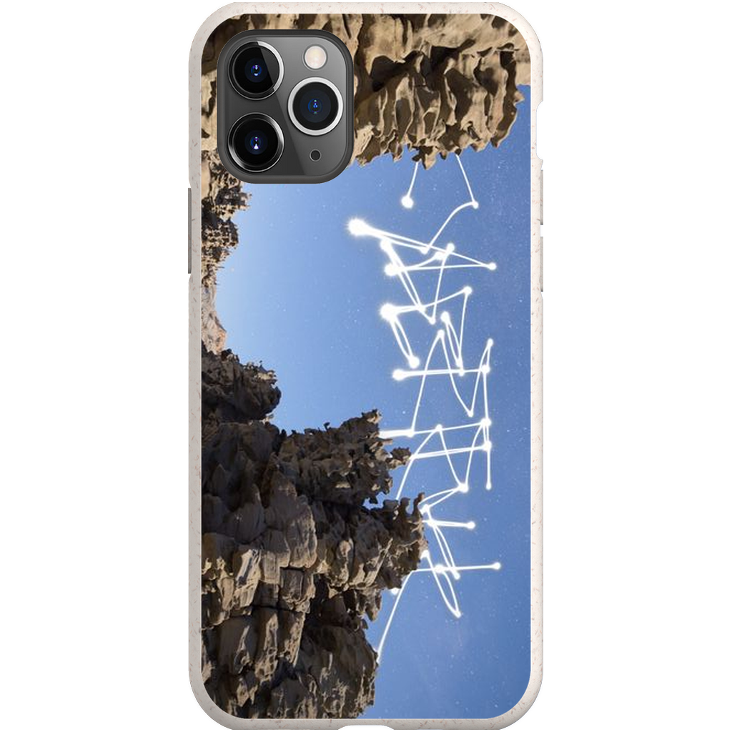 Bone Canyon - Phone Cases