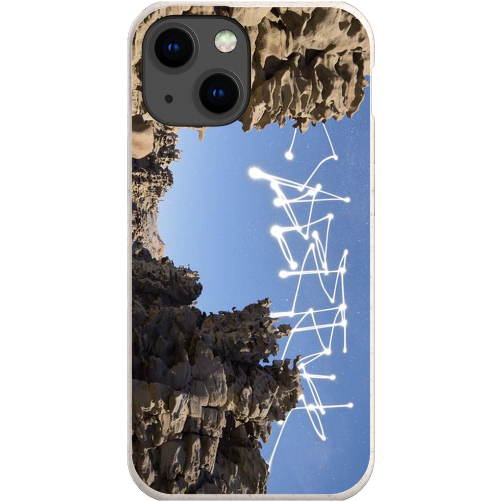 Bone Canyon - Phone Cases