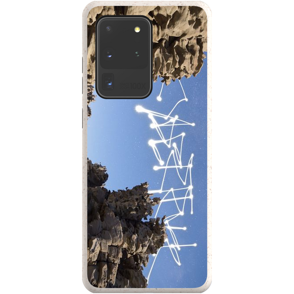 Bone Canyon - Phone Cases